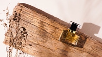 Renewable Raw Materials - Photo of sandalwood pieces