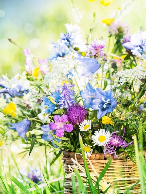 Meadow flowers bouquet in mug on dewy grass.