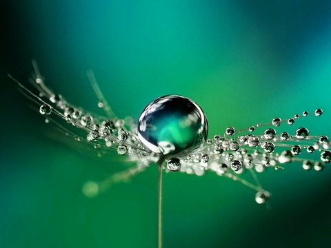 Little drop, big effect: At BASF Aroma Ingredients, we are passionate to support you with innovative flavor and fragrance ingredients. In everything we do, we ensure that each drop of our products is full of sustainability. Picture: Raindrops on plant. Little drop, big effect: At BASF Aroma Ingredients, we are passionate to support you with innovative flavor and fragrance ingredients. In everything we do, we ensure that each drop of our products is full of sustainability. Picture: Raindrops on plant.