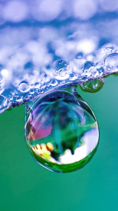 Little drop, big effect: At BASF Aroma Ingredients, we are passionate to support you with innovative flavor and fragrance ingredients. In everything we do, we ensure that each drop of our products is full of expertise, reliability, innovation and sustainability. Picture: Raindrops on plant leaf. 