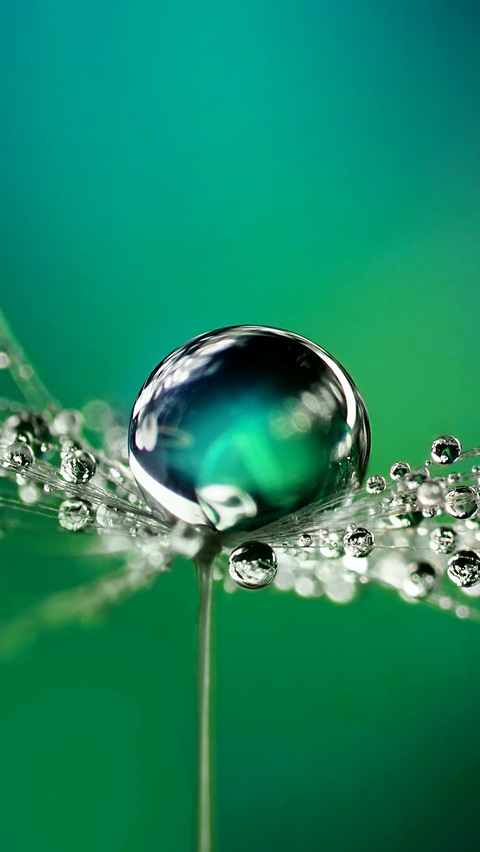 Little drop, big effect: At BASF Aroma Ingredients, we are passionate to support you with innovative flavor and fragrance ingredients. In everything we do, we ensure that each drop of our products is full of sustainability. Picture: Raindrops on plant. Little drop, big effect: At BASF Aroma Ingredients, we are passionate to support you with innovative flavor and fragrance ingredients. In everything we do, we ensure that each drop of our products is full of sustainability. Picture: Raindrops on plant.