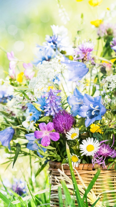 Meadow flowers bouquet in mug on dewy grass.