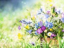 Meadow flowers bouquet in mug on dewy grass. Meadow flowers bouquet in mug on dewy grass.